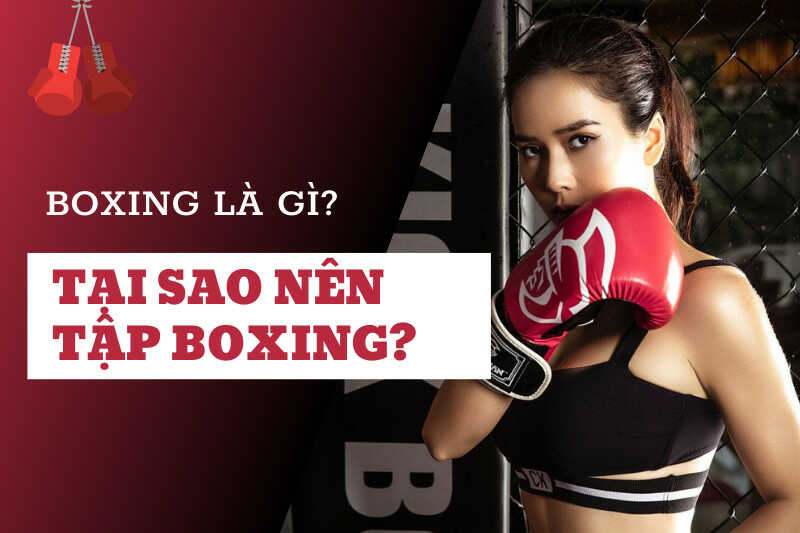 Boxing là gì? Tại sao nên tập Boxing?